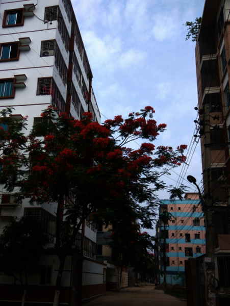 StarFDC Talent Directory Bangladesh: actors, actresses, singers, dancers and media technical experts